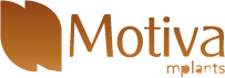 motiva